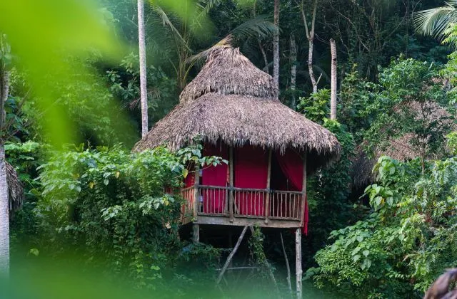 Tree House Dominican Village Samana